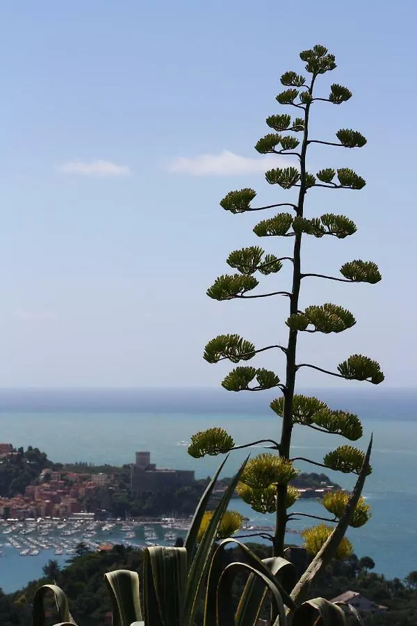 Villa Agave Di Lerici 0*,