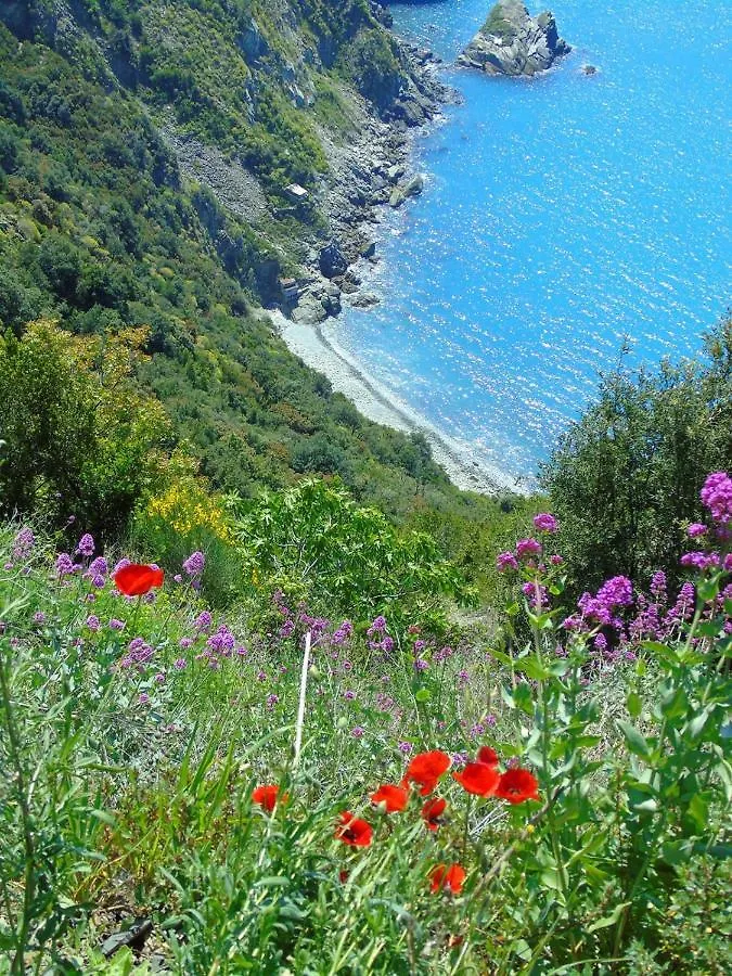 Hébergement de vacances Villa Agave Di Lerici Italie